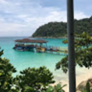 Meet your Posher, Lucy